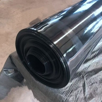 Geomembran HDPE LLDPE PVC EVA Anti-UV Berkualitas Tinggi untuk Penutup TPA, Irigasi, Kolam, Bendungan, Tambak Ikan, Pertambangan, Tahan Air