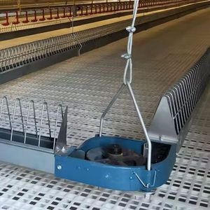 Venta de sistema alimentador de gallinas, rueda de esquina, cadena transportadora, línea de alimentación, criador, casa, equipo avícola, cría de pollos - Product Image 1