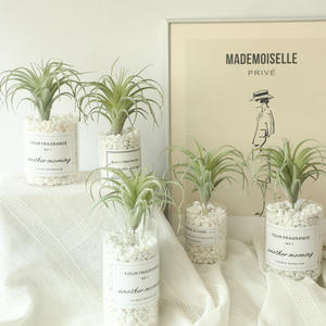 En gros Décorations De Table De Mariage Herbe en Plastique Artificielle <span class=keywords><strong>Tillandsia</strong></span> D'air Usine - Product Image 2