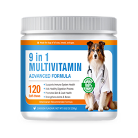 Complément alimentaire pour chien 9-en-1 sous marque blanche – Bouchées tendres saveur poulet pour le soutien immunitaire, digestif, cutané et pelliculaire – Fabricant OEM