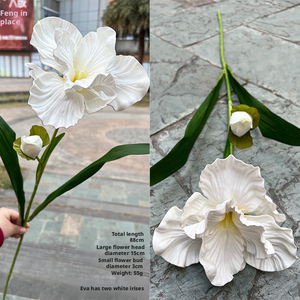 LO-804 <span class=keywords><strong>Iris</strong></span> artificielles en EVA à 2 têtes, style <span class=keywords><strong>jardin</strong></span>, pour la décoration <span class=keywords><strong>de</strong></span> mariages, d'événements et <span class=keywords><strong>de</strong></span> la maison (vente en gros) - Product Image 6