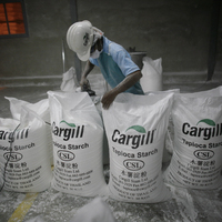 Cargill World Leading Supplier, Modified Starch