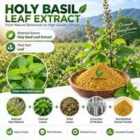 Poudre d'extrait de feuille de basilic sacré Fruiterco 10:1 20:1 Matière première botanique Tulsi en vrac