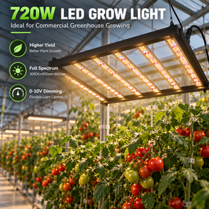 Lampe de culture LED 720W, puissance personnalisable de 120W à 1000W, éclairage de serre commercial à spectre complet - Product Image 2