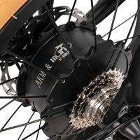 Vélo électrique de ville Ebike avec moteur 750W, vélo électrique tout-terrain, vélo électrique à pneus larges