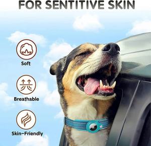Nouveau Collier de Localisation pour Chien et Chat, avec Support pour AirTag, Anti-Perte, Réfléchissant, Étanche et Protecteur - Product Image 2