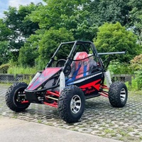 Karting tout-terrain au design populaire, mini-karting pour la course, buggy robuste, couleur personnalisée, poids 500 kg