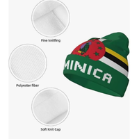 Bonnet tricoté drapeau Belize directement de l'usine pour femmes et hommes, bonnet tricoté tendance, bonnets chauds d'hiver, bonnet de ski doux et extensible, unisexe