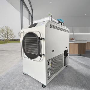 20kg Freeze Dryer Cheap Lyophilizer Freeze Dried Machine 40Kg Vacuum Freeze Dryer - Product Image 6
