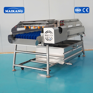 Machine de lavage industrielle intelligente à rouleaux brosse et pulvérisation, technologie de nettoyage double pour lignes de traitement des légumes et des fruits de mer - Product Image 3