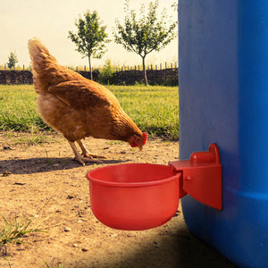 Bebederos automáticos para pollos, patos, gansos, codornices, pollitos, patos y aves; comederos para aves de corral. - Product Image 1