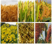 Nouvelle batteuse multifonctionnelle pour les petites exploitations agricoles, batteuse de soja, de riz, de blé, de sorgho, de colza