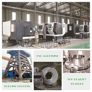 Đầu nối ren kiểu <span class=keywords><strong>flange</strong></span> đạt tiêu chuẩn môi trường EU ROHS, chất liệu thép cacbon/thép không gỉ, ren BS10 - Product Image 5