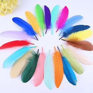 Vendita diretta della fabbrica piume d'oca sciolte fiori decorativi galleggianti piante per gioielli fai da te accessori di abbigliamento artigianale - Product Image 4