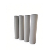 Cartouche filtrante poreuse en titane fritté 1μm pour la filtration stérile de la bière, du vin et des boissons