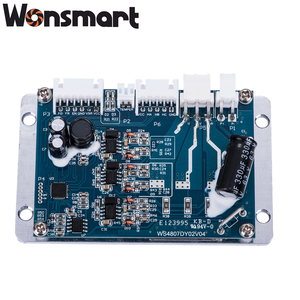 ตัวควบคุมมอเตอร์ WS4807 รุ่น WS4807DY02V04-SRP008 ไดรเวอร์ไฟฟ้า - Product Image 1