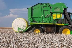 Hot bán tự động cp690 cp770 bông picker nông dân sử dụng màu Vàng nhựa Silage Baler Gói Bông kiện bọc phim - Product Image 4