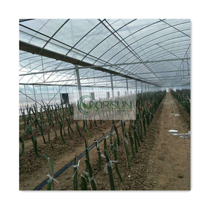 Agriculture hydroponique graines de poivre de ferme d'intérieur Protection UV serre de tomate multi-travée avec fenêtres - Product Image 6