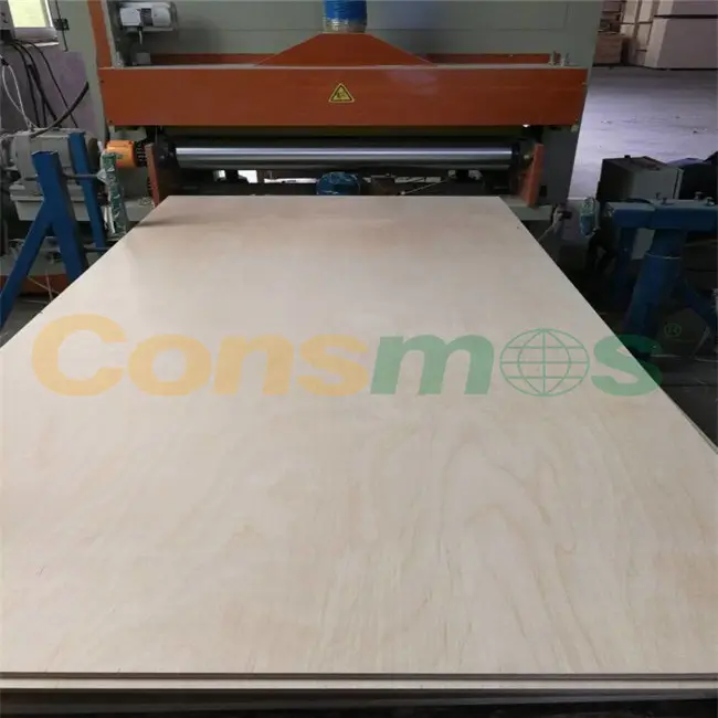 Consmos-madera contrachapada de abedul B/BB/CP,