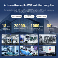 12 CH Car DSP Amplifier All n One Car Audio Digital Signal Processor Brushed Aluminum Shell OEM ODM For Car Sound Upgrade