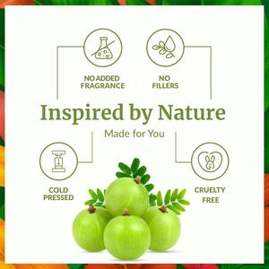 Huile de support naturelle pure <span class=keywords><strong>Amla</strong></span>, service OEM fourni par l'usine, au meilleur prix, utilisée pour les soins capillaires, huile d'<span class=keywords><strong>Amla</strong></span> naturelle - Product Image 2