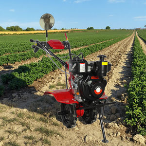 173F 5,5 PS <span class=keywords><strong>Diesel</strong></span> Mini Pinne mit Getriebe Langlebiger Mehrzweck-Grubber - Product Image 2