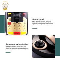 Appareils de cuisine à Dubaï, cuiseur à riz automatique avec thermostat, cuiseur à riz automatique de luxe de 5 L