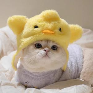 أزياء الحيوانات الأليفة من المصنع، قبعات وملابس دافئة للقطط، أغطية رأس للحيوانات الأليفة لجميع المواسم، قبعة قطط مخملية لطيفة على شكل دب - Product Image 1