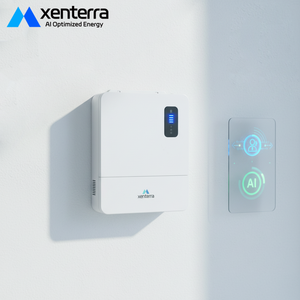 อินเวอร์เตอร์พลังงานแสงอาทิตย์ Xenterrra 3kw 48v DC เป็น 230v AC สำหรับใช้ในบ้าน แปลงไฟฟ้า 50hz 60hz - Product Image 1