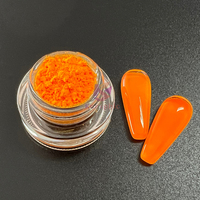 Poudre néon 14 couleurs de qualité cosmétique Pigments de fard à paupières Fluorescent Nail Art Gel Polish Uv Glow Pigment Neon Powder