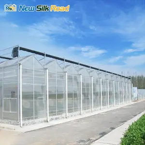 Invernaderos de policarbonato profesional de aluminio PC invernadero jardín invernadero de policarbonato para agro