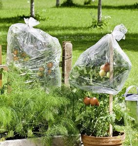 Pellicola di plastica perforata del tubo del pomodoro che copre contro i parassiti pioggia - Product Image 5