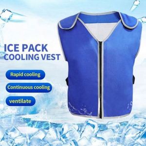 Vente flash d'été : Gilet réversible rafraîchissant avec pochettes de glace, respirant, pour activités extérieures, résistant à la chaleur, prévention des coups de chaleur - Product Image 1