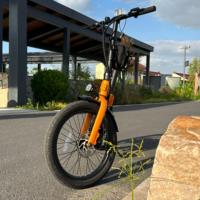 Vélo électrique pliable 36V 10.4Ah, 20 pouces, moteur arrière 250W, 7 vitesses, frein à disque, écran LCD pour les déplacements urbains