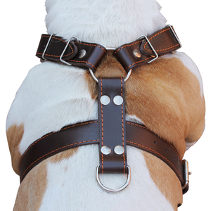 جلد طبيعي لا يسحب الكلب تسخير تدريب الحيوانات الأليفة المشي تسخير الكلب بيتبول سترة - Product Image 3