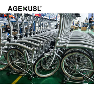 Cuadro de <span class=keywords><strong>Bicicleta</strong></span> AGEKUSL, Horquilla Delantera, Triángulo Trasero, para <span class=keywords><strong>Bicicleta</strong></span> <span class=keywords><strong>Plegable</strong></span> <span class=keywords><strong>Brompton</strong></span> de 16 Pulgadas - Product Image 6