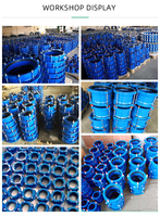 Adaptateur à bride flexible en fonte ductile et acier au carbone pour raccordement HDPE