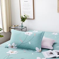 Échantillon gratuit de taies d'oreiller moelleuses, taies d'oreiller pour canapé, taies d'oreiller en microfibre