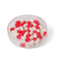 Capsules dures vides Halal Pullulan de haute qualité Taille 000 00 0 Fabriqué à partir de gélatine et HPMC Écologique Biocompatible