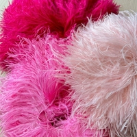 Frange de plumes d'autruche teintées écologiques 10-15 cm, sans azo, certifiées YOLAN, prix usine fournisseur, pour vêtements et accessoires