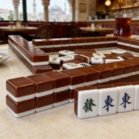 Tuiles de Mahjong en écaille de tortue en gros d'usine, tuiles de Mahjong uniques pour un usage domestique, produits de sport d'intérieur