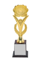 Trophée en métal de grande taille fait main pour les champions sportifs d'assurance, avec logo et emballage personnalisés