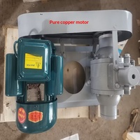 Pompe de transfert de gaz GPL ; Pompe de remplissage 220V/48V/12V portable pour voiture, mini pompe à air avec télécommande, moteur en cuivre pur, acier inoxydable