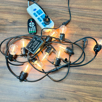 Accessoire de guirlande lumineuse sur mesure en gros d'usine, 720W, connectable, prise femelle et prise européenne, variateur