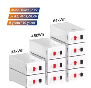 Spot Clearance 15% off deye 51.2v 314ah SE-F16 16kwh <strong>Low</strong> <strong>Voltage</strong> Lithium Battery Eu Stock - Product Image 5