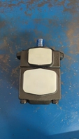 Pompe hydraulique série PV2R PV2R1-31-F-RAA-4326 PV2R131 FRAA 4326 PV2R1-31-F-RAA-4326 pompe à palettes hydraulique PV2R1-31-F-RAA-4326