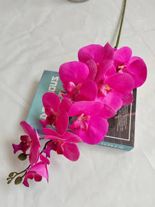 Fleurs artificielles <span class=keywords><strong>d</strong></span>'orchidée blanche naturelle avec papillon papillon en latex au toucher réel à longue tige pour l'obtention du diplôme et les <span class=keywords><strong>d</strong></span>écorations de la fête des mères - Product Image 5