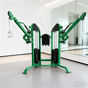 Système à double poulie à usage commercial, appareil d'entraînement fonctionnel multifonctionnel à charges réglables - Product Image 5