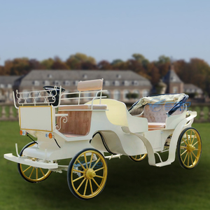 Calèche Électrique à Vendre pour Mariages, Fêtes d'Anniversaire, Manèges de Parc d'Attractions, 5-6 Personnes, Personnalisable - Product Image 6