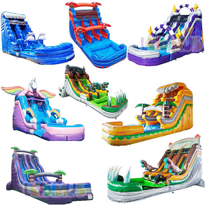 Toboggan aquatique Offre Spéciale commercial gonflable Tale of <span class=keywords><strong>Ladybug</strong></span> Cat <span class=keywords><strong>Noir</strong></span> maison de rebond piscine videur gonflable Double toboggan à louer - Product Image 5